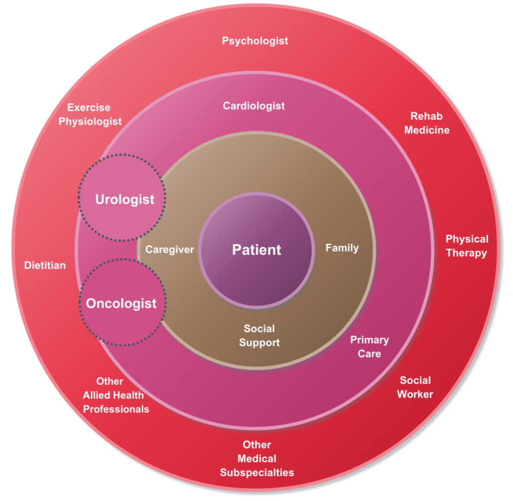 Image of the care system circle